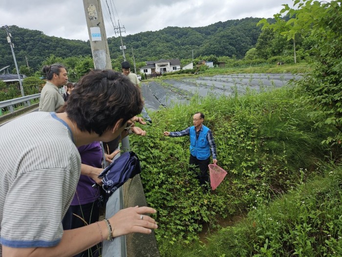 [탄소중립 콘텐츠 및 문화사업] 미호동의 특별한 손님, 맹꽁이를 만나다!이미지